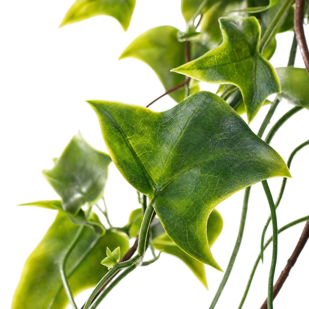 Hedera kunsthangplant vol 50 cm – UV-bestendig
