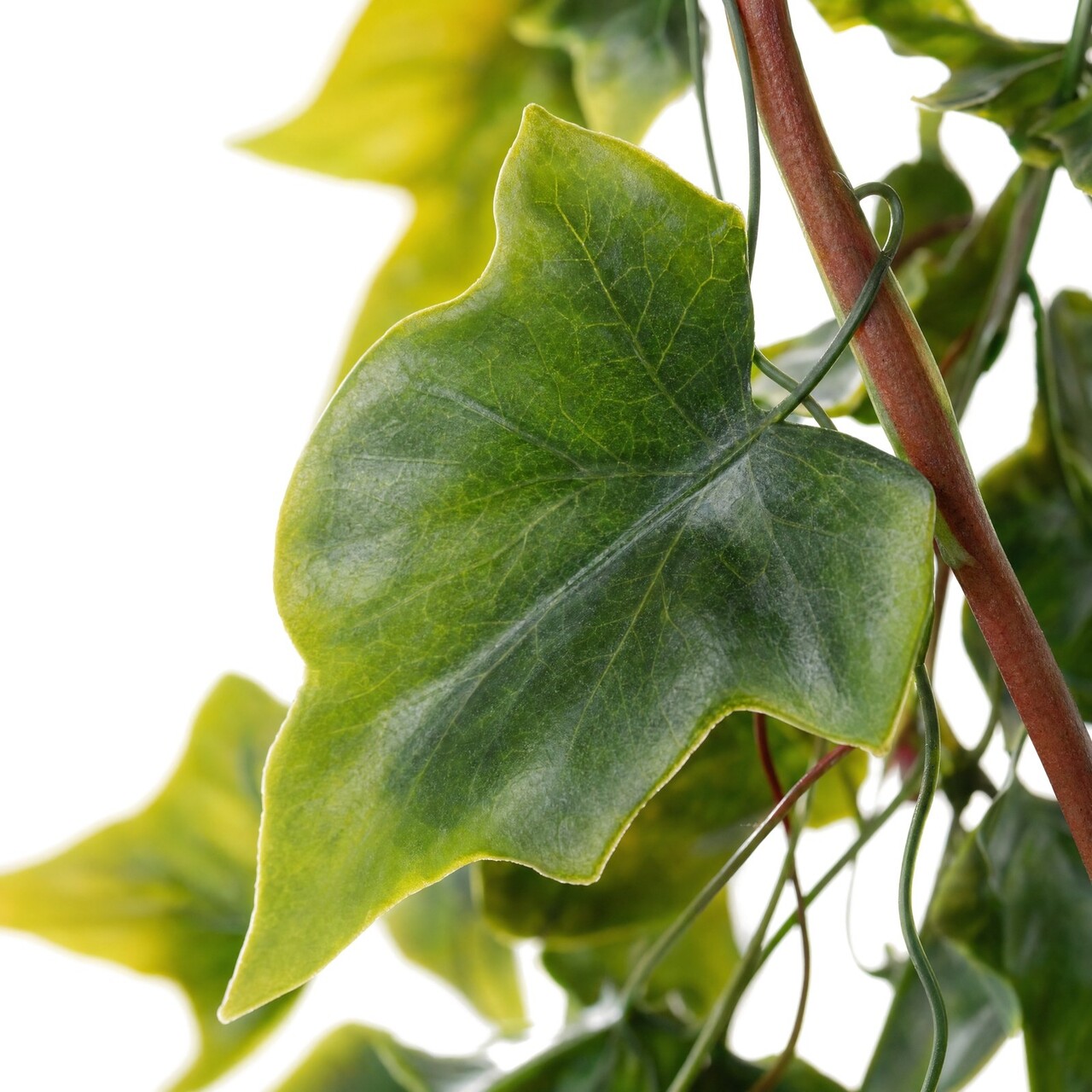 Hedera kunsthangplant vol 85 cm – UV-bestendig
