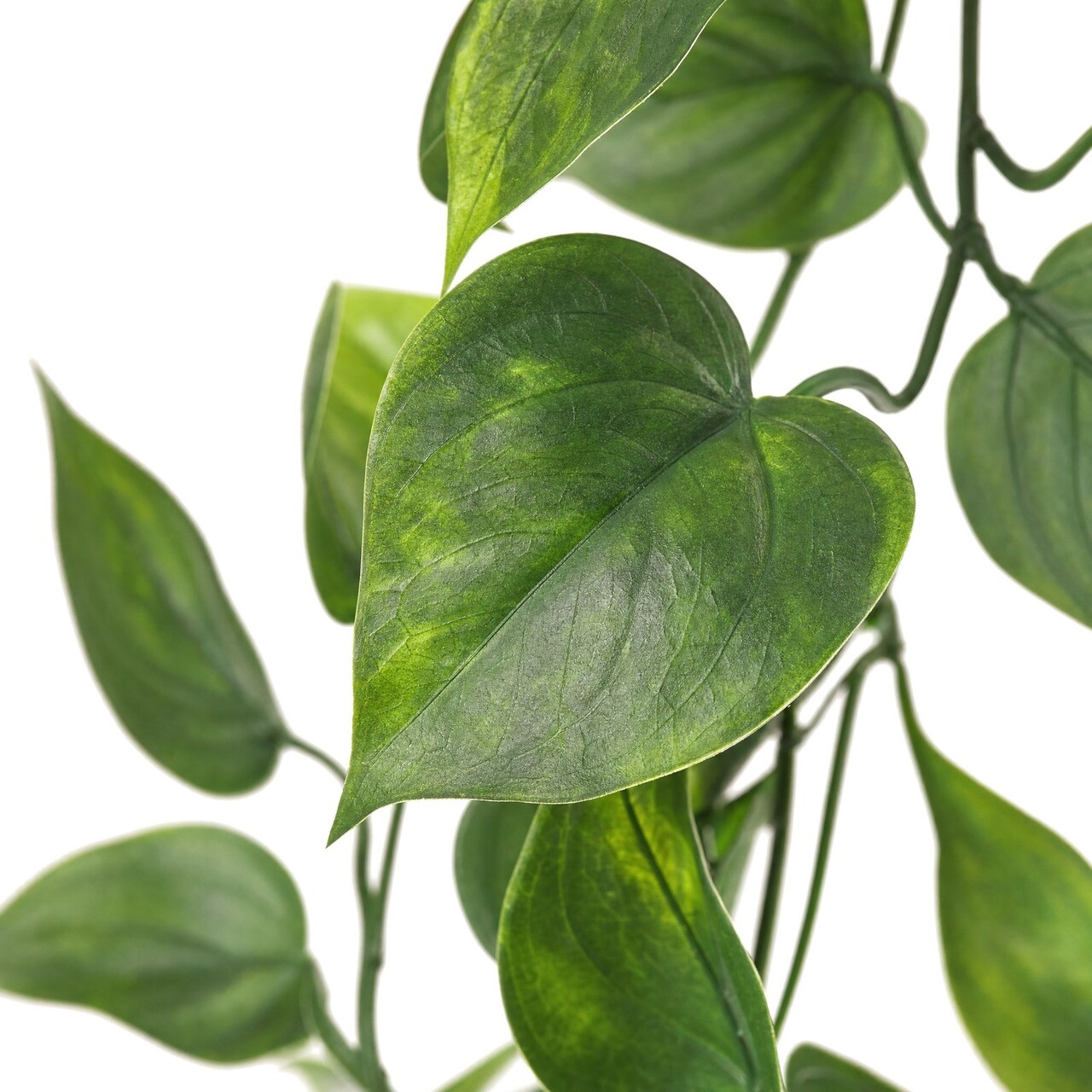 Pothos-Kunstgirlande 155 cm – UV-beständig
