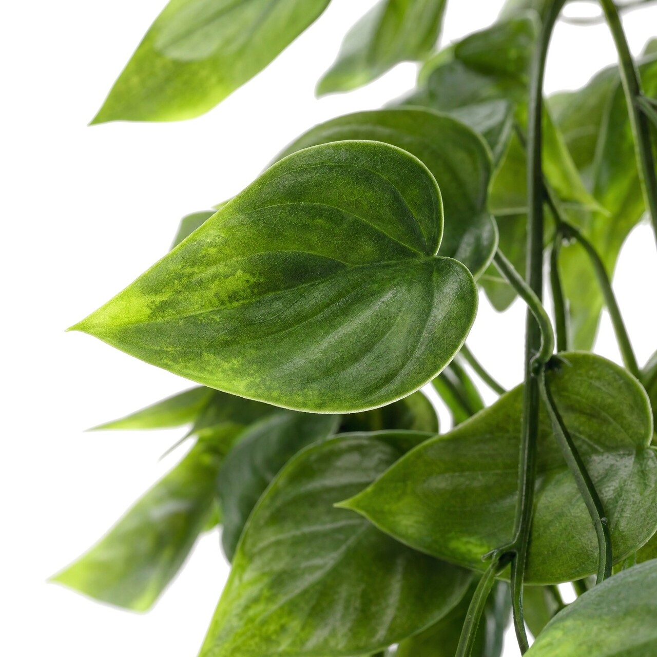 Pothos-Kunsthängepflanze 75 cm – UV-beständig