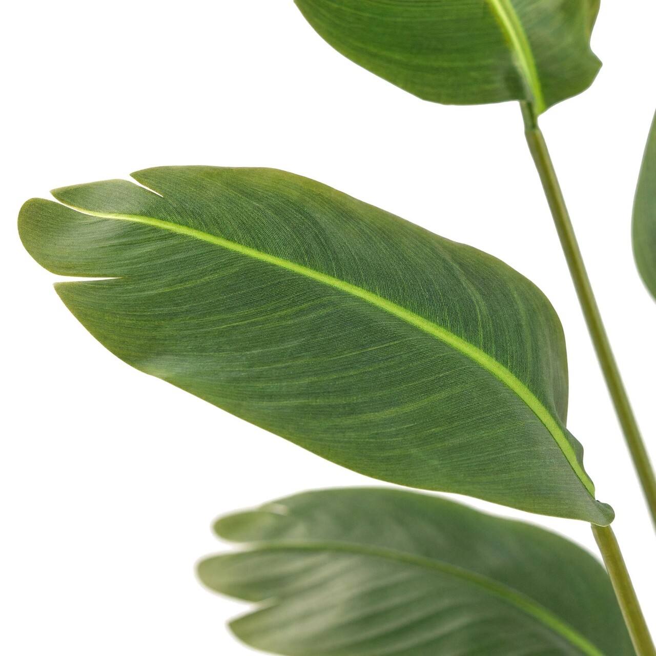 Strelitzia kunstplant 120 cm – brandvertragend