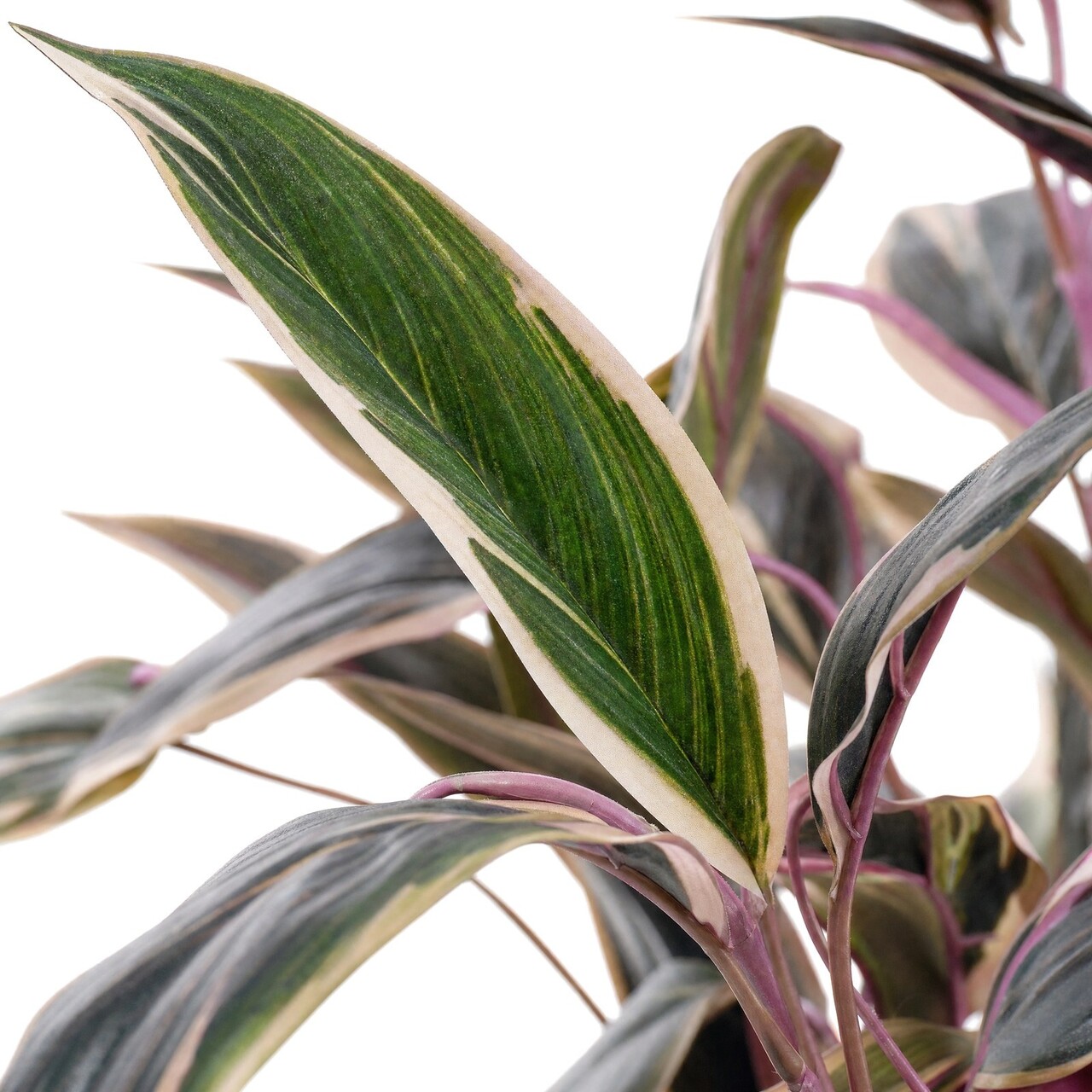 Caladium kunstboeket groen-roze 85 cm – brandvertragend