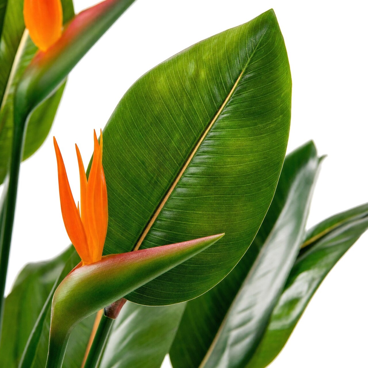 Strelitzia kunstplant bloeiend 150 cm – brandvertragend