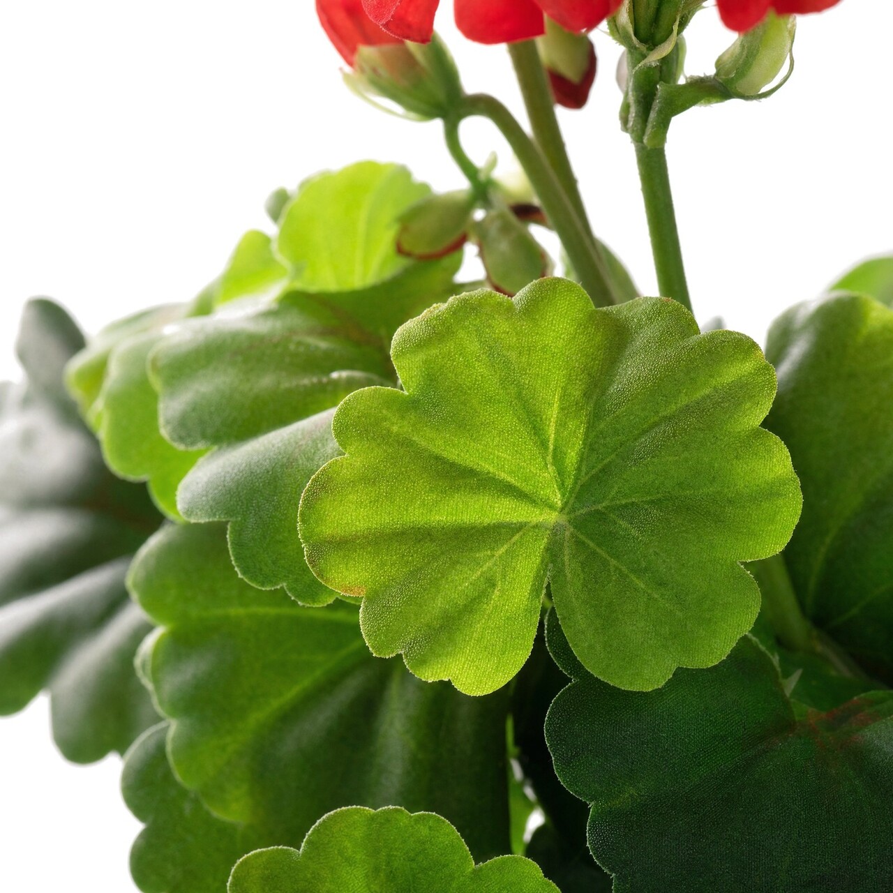 Geranium kunstboeket rood 38 cm – brandvertragend