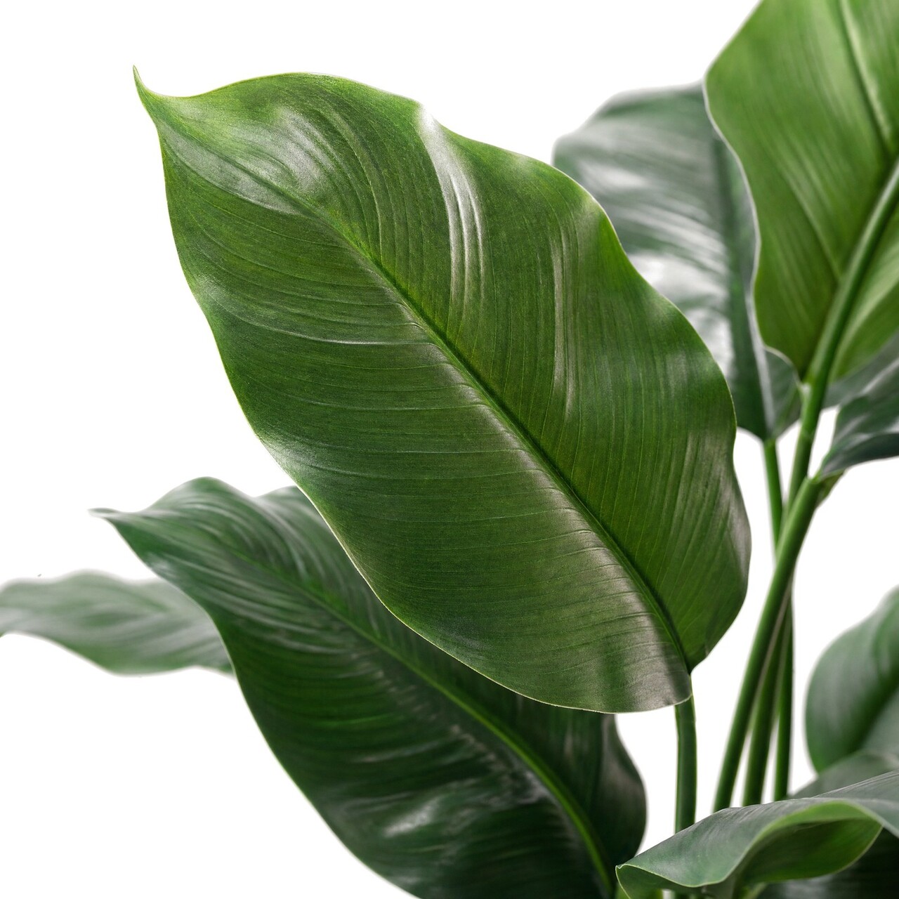 Lepelplant kunstplant 120 cm – brandvertragend