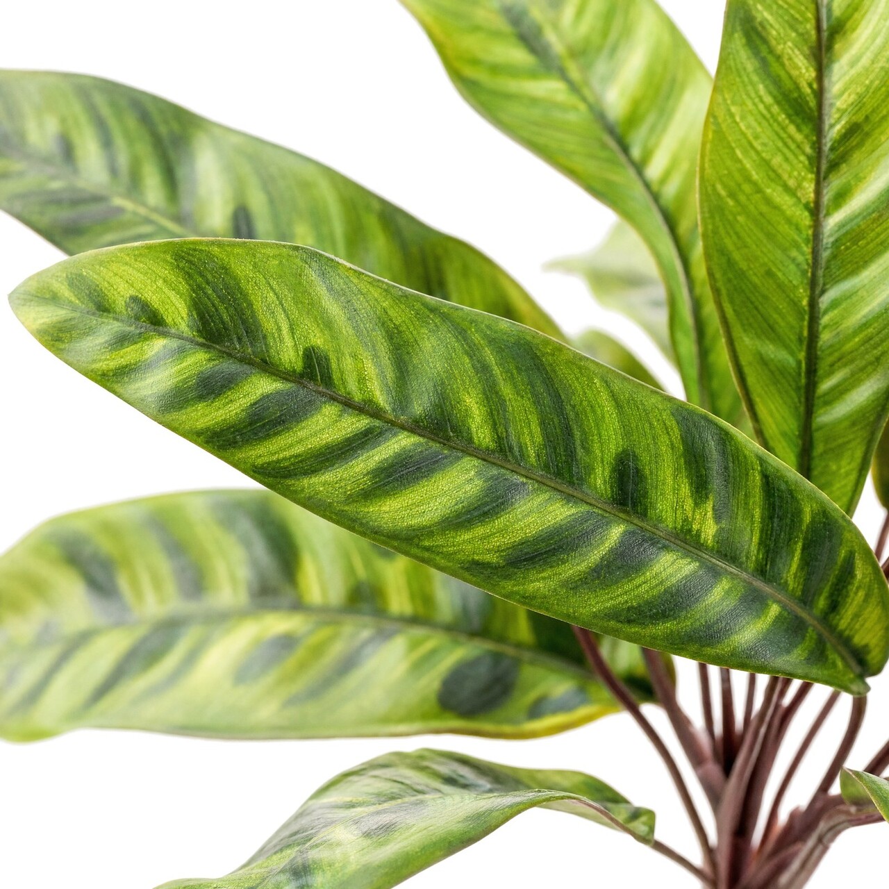 Calathea pauwenplant kunstboeket 37 cm – brandvertragend