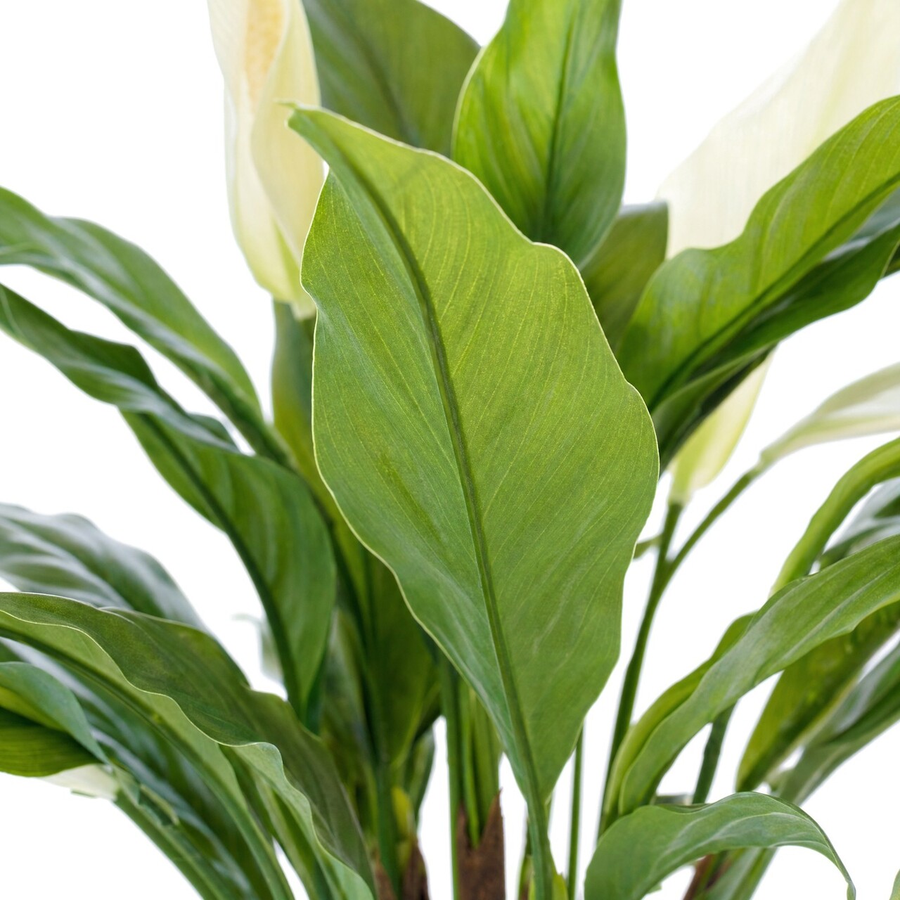 Lepelplant kunstplant 53 cm – brandvertragend