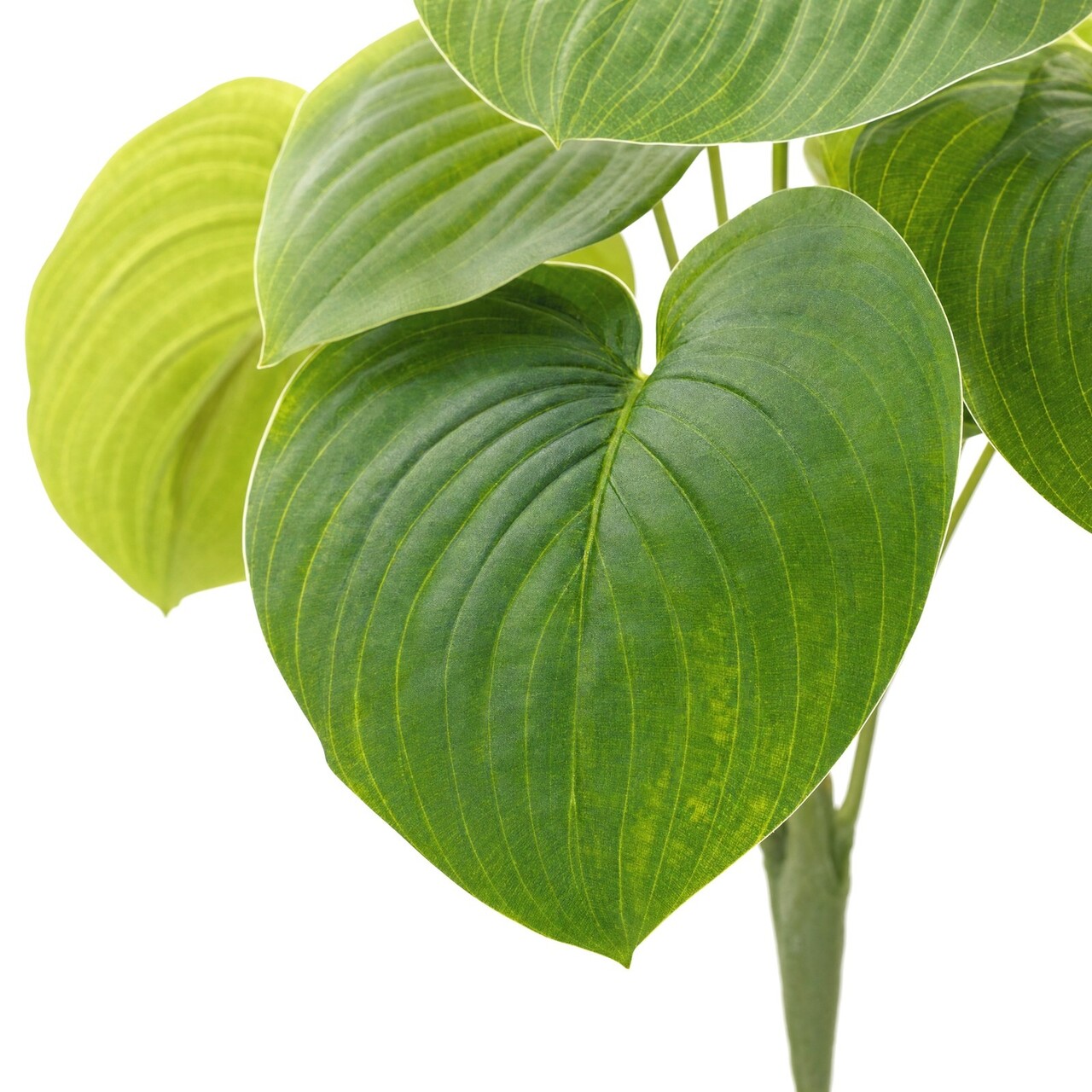 Hosta-Kunstbukett 65 cm – schwer entflammbar