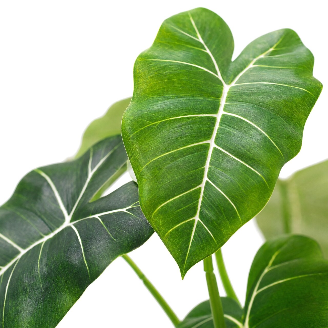 Caladium kunstboeket groen 60 cm – brandvertragend