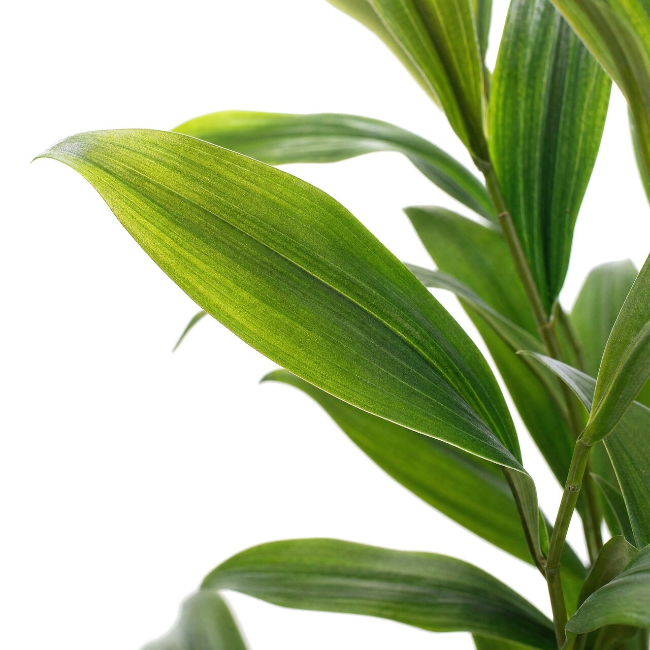Dwergpalm kunstplant 45 cm – brandvertragend
