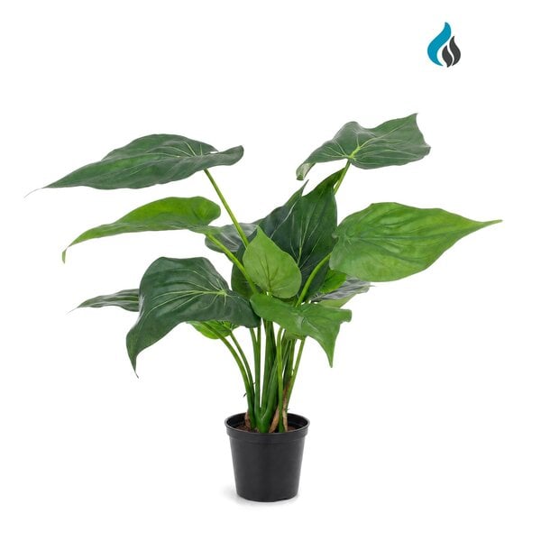 Alocasia Cucullata kunstplant 40 cm – brandvertragend