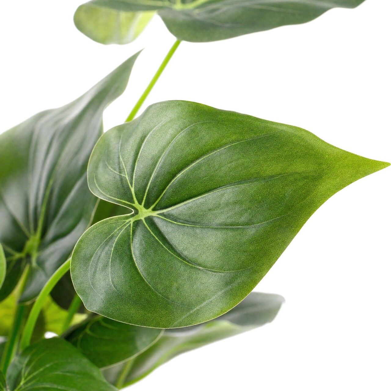 Alocasia Cucullata kunstplant 40 cm – brandvertragend