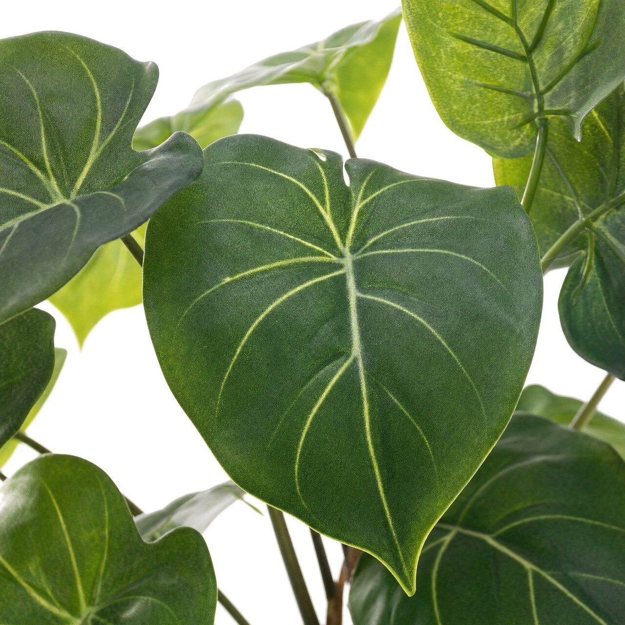 Syngonium kunstplant 58 cm – brandvertragend