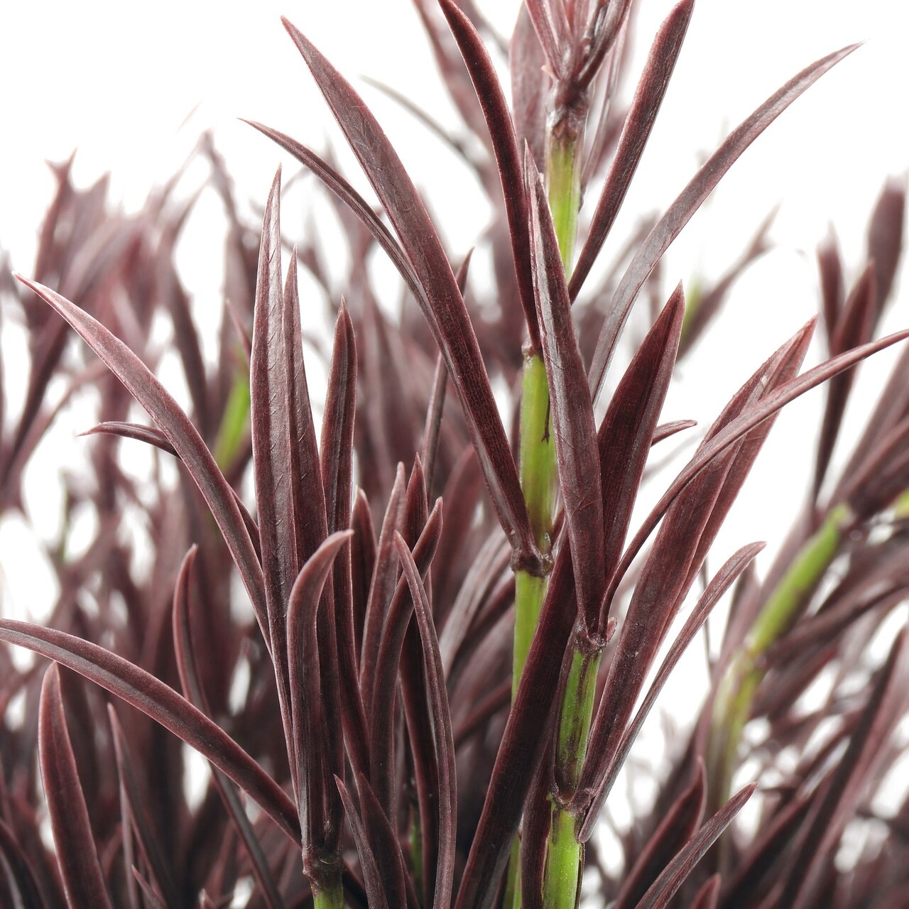 Podocarpus kunstboeket bruin 42 cm – FR & UV-bestendig
