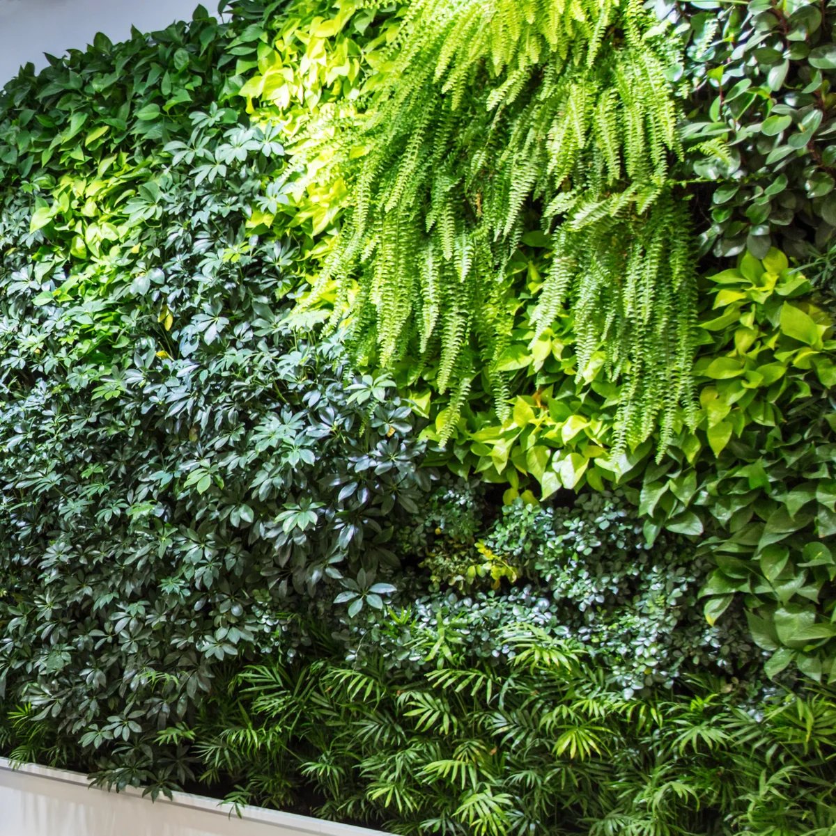 Akoestische groene scheidingswand op kantoor