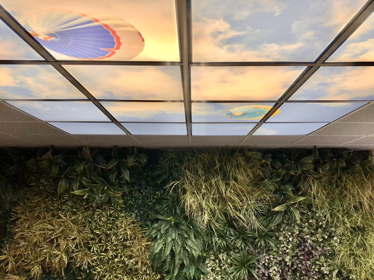 Wachtkamer Psycholoog Nederland: project van Coolplant