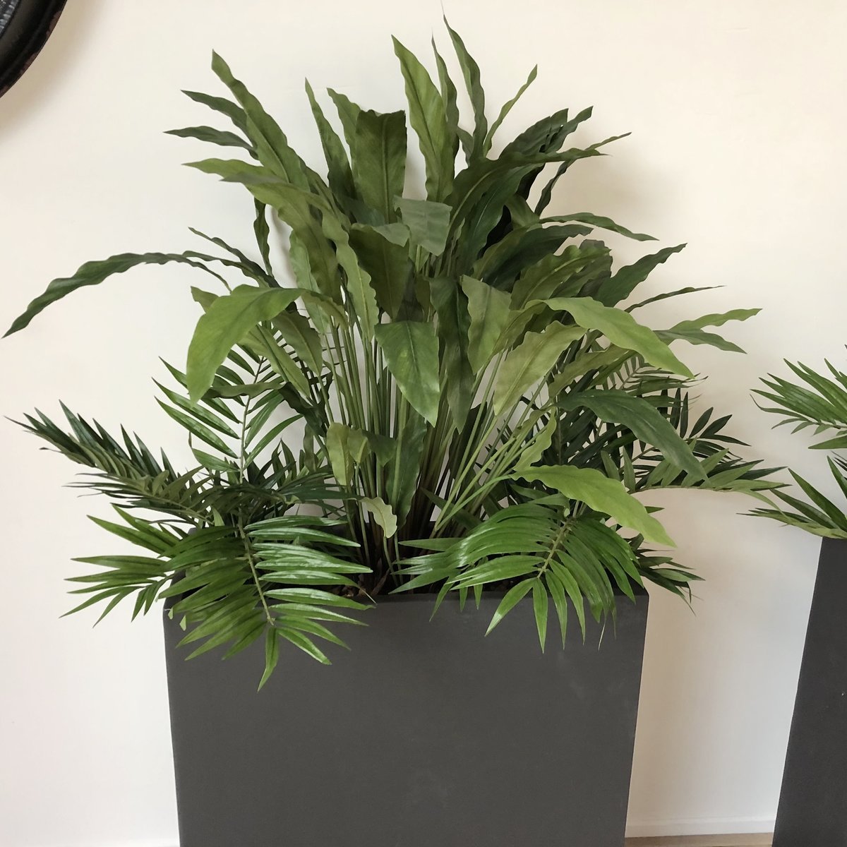 Wachtkamer Psycholoog Nederland: project van Coolplant