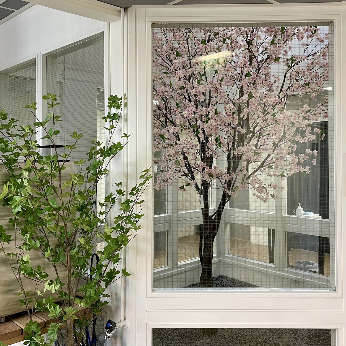 Wachtkamer Psycholoog Nederland: project van Coolplant
