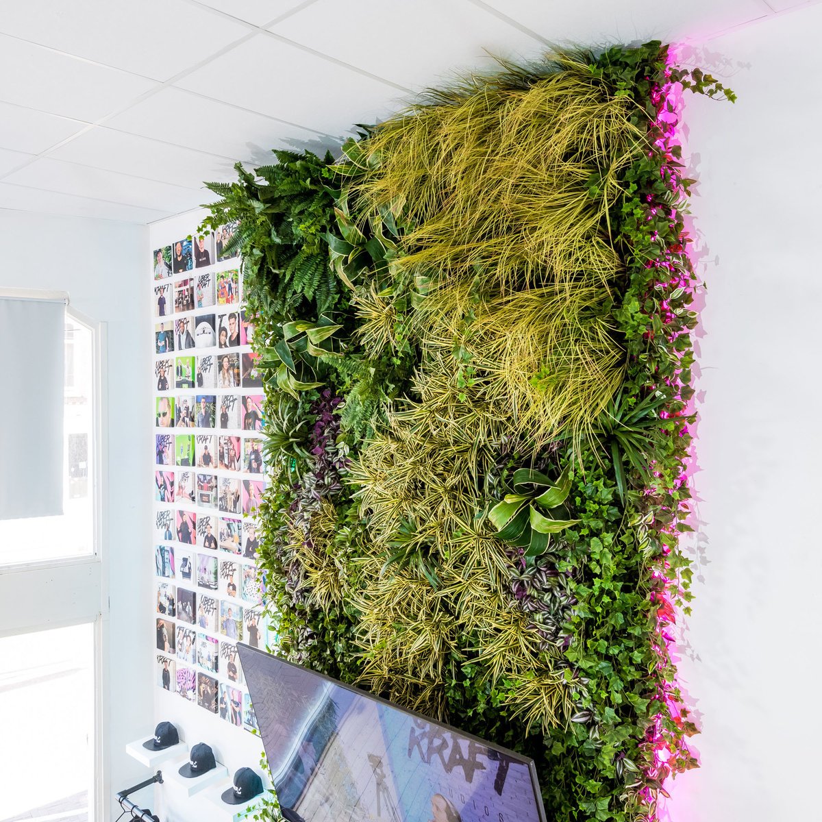 UBERKRAFT Studio: project van Coolplant