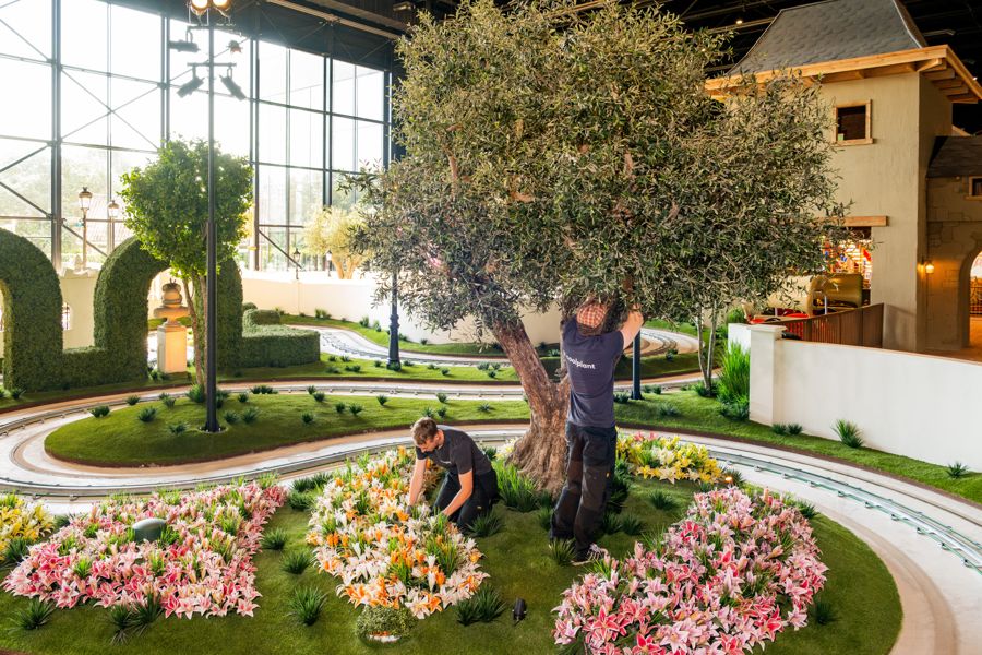 Fertigstellung eines Olivenbaums nach Maß mit Blumen darum herum
