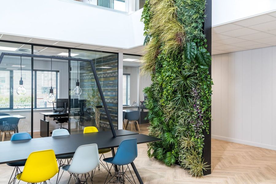 De groene wand bij Gaaf Advies