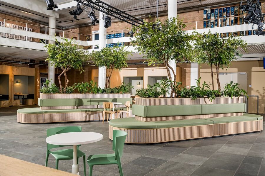 De interieurbeplanting van Sancta Maria in Haarlem