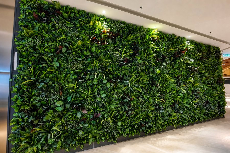 Lange plantenwand