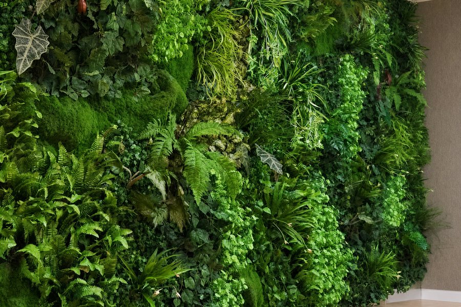 Weelderige plantenwand