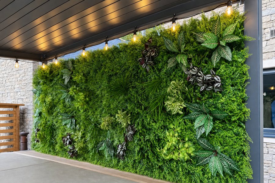 Plantenwand onder de overkapping