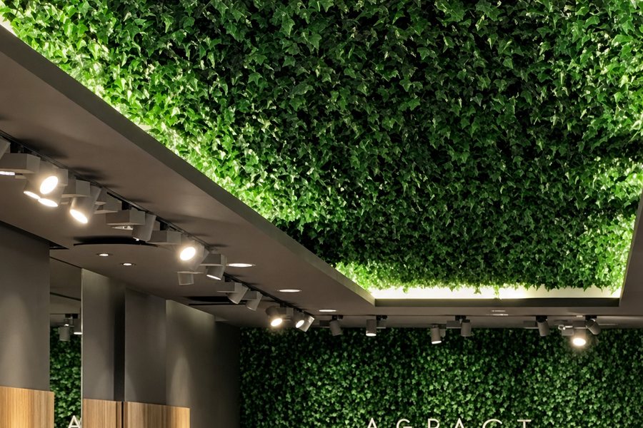 Winkel met groen plafond