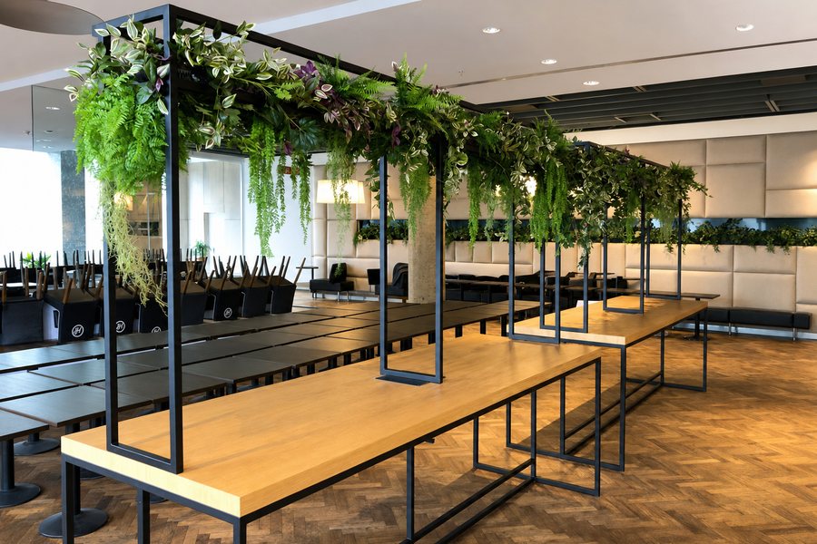 Plantenframe boven de tafel