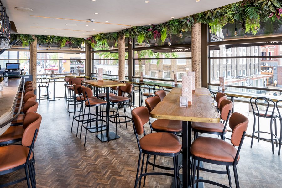Hanging plants above the bar · ceiling planting · hospitality