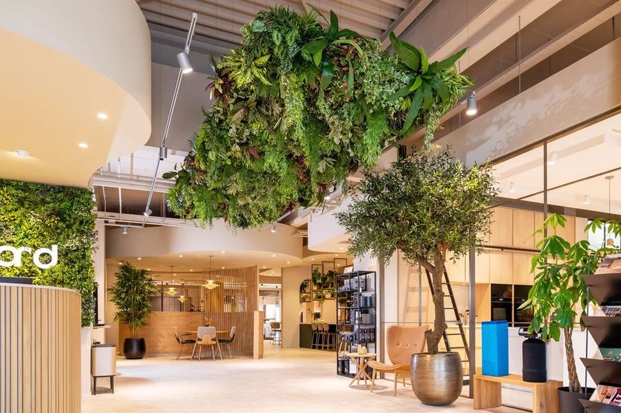 Hangend groen boven een kantoorruimte