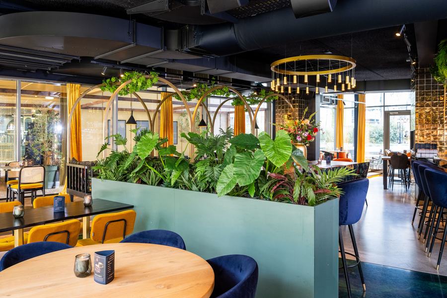 Gastronomie, Leeuwarden: Pflanzgefäße und hängendes Grün