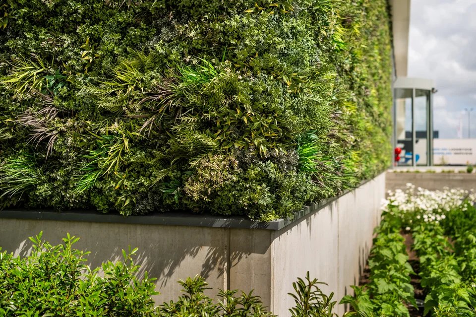 Groene gevel van Coolplant