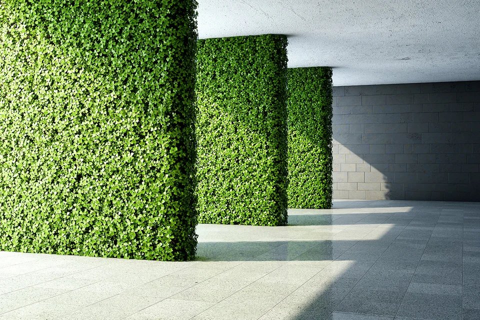 Project van Coolplant