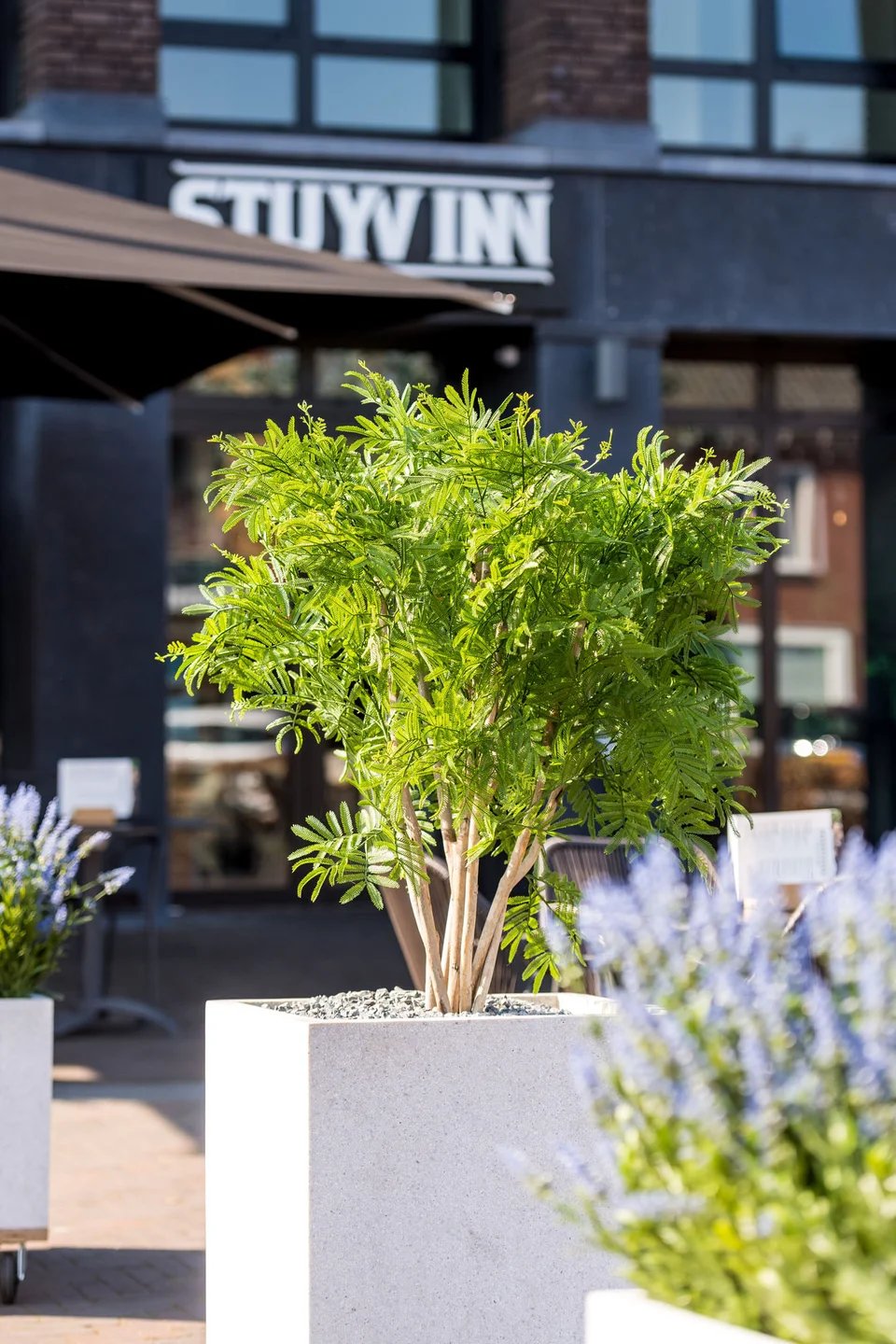 Project van Coolplant