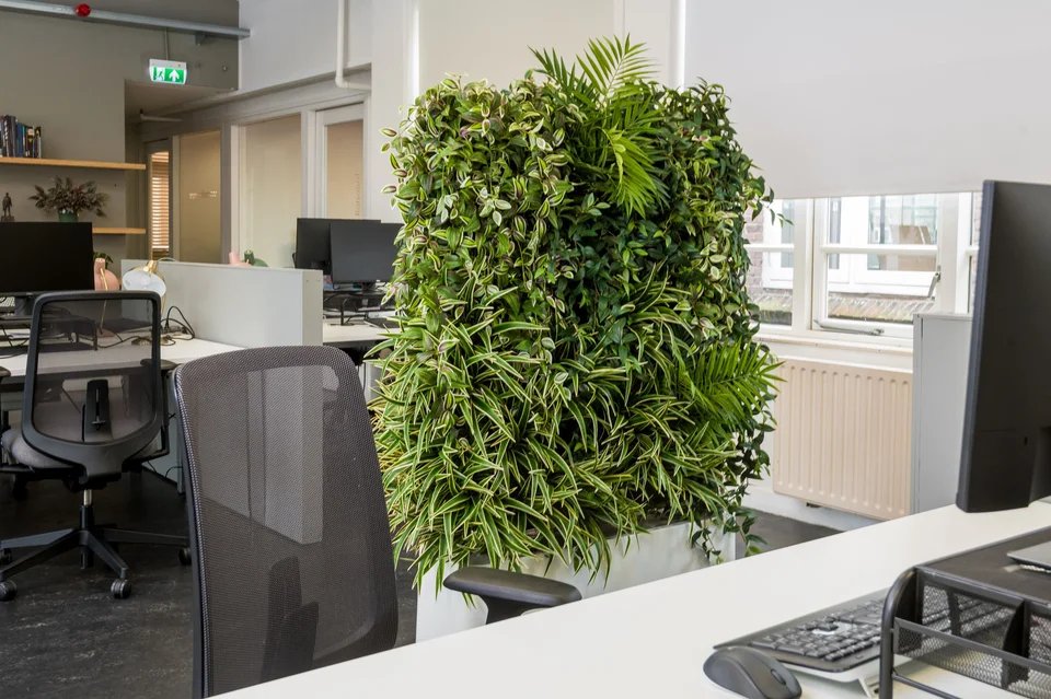 Project van Coolplant