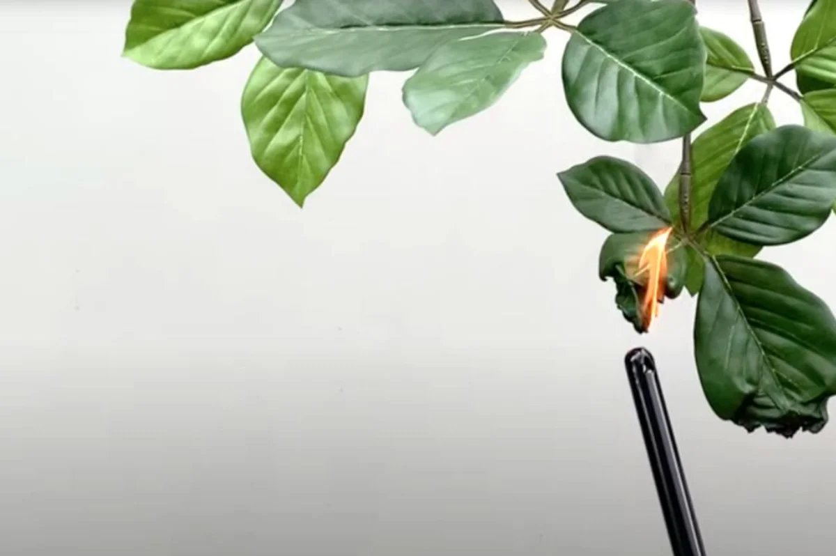 Brandvertragende kunstplanten op een beurs