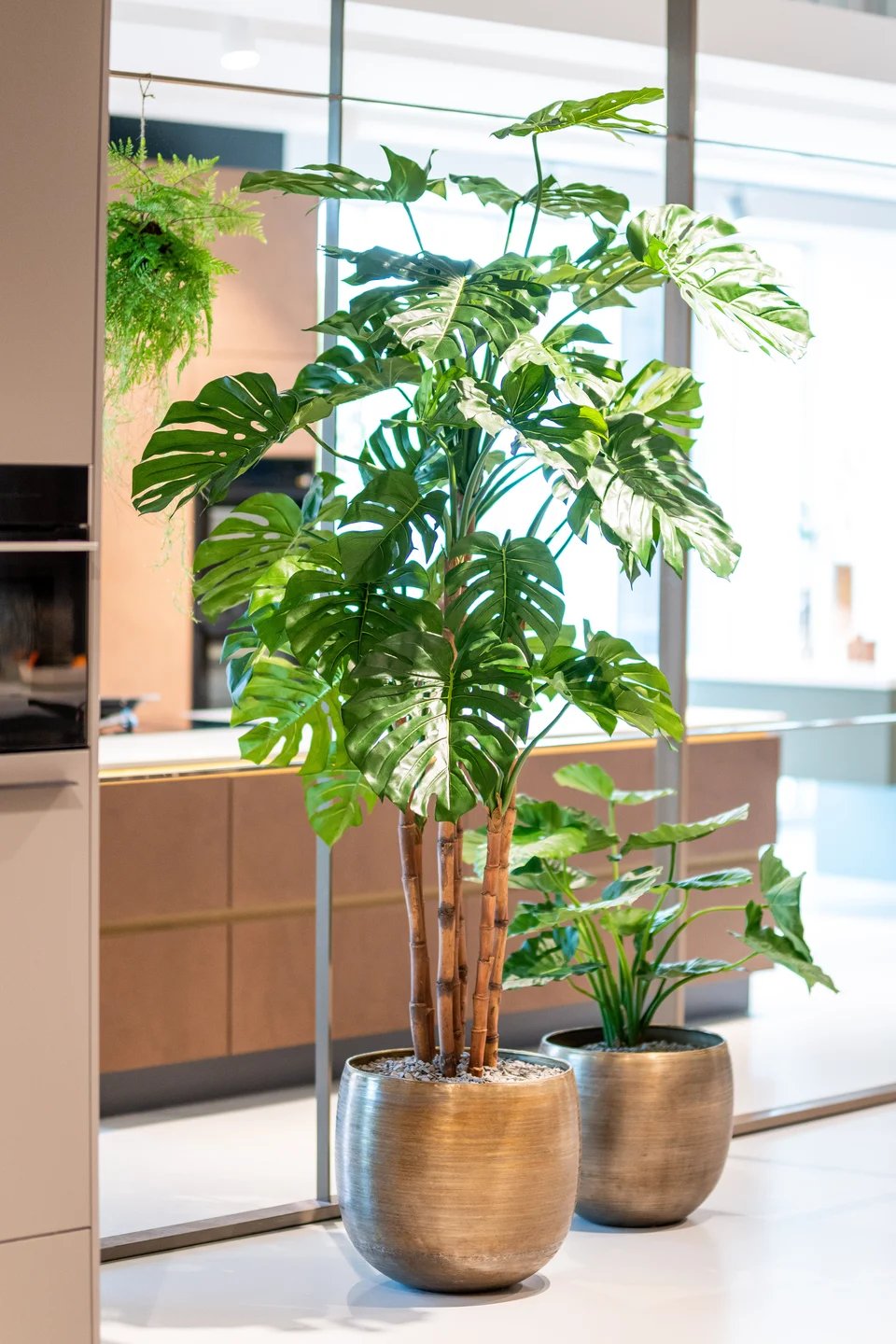 Interieurbeplanting van Coolplant