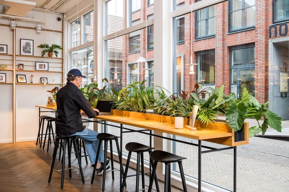 Interieurbeplanting van Coolplant