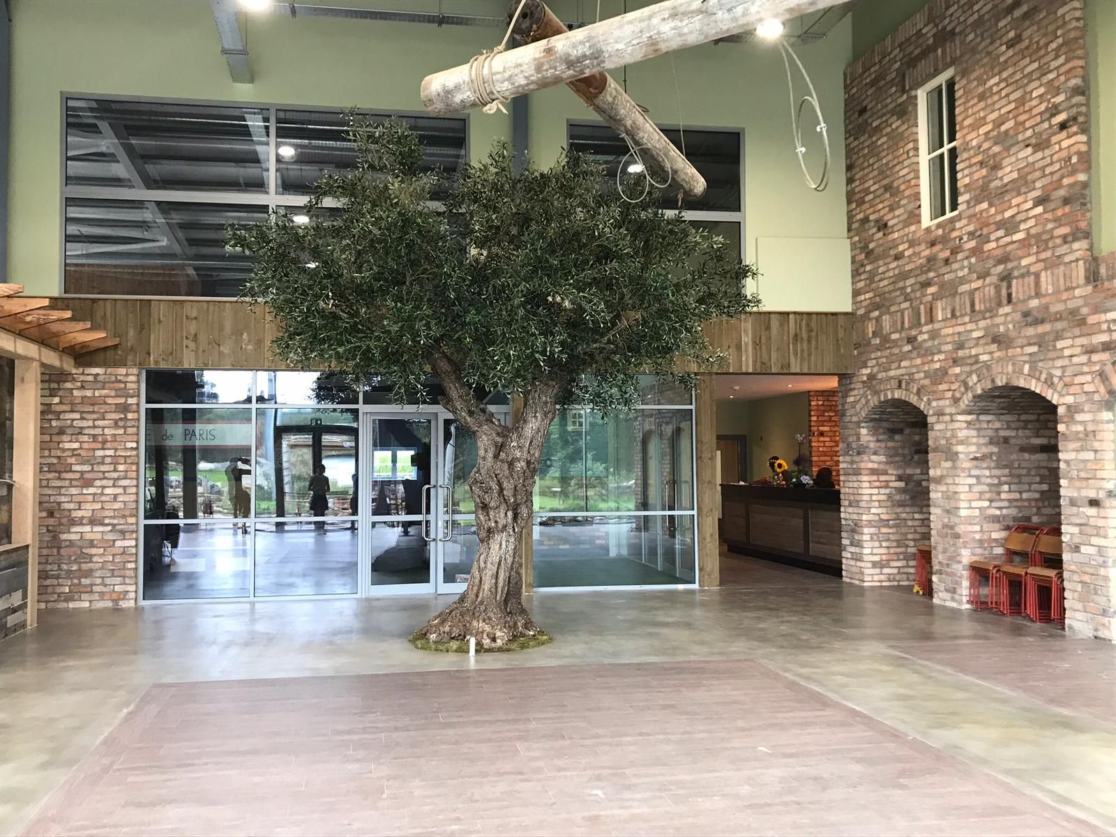 Baum in der Halle: Innenraumbegrünung