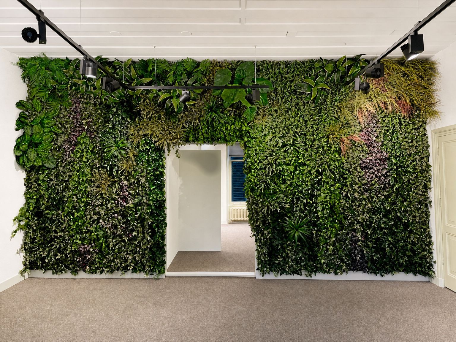 Büro Deventer: grüne Wand