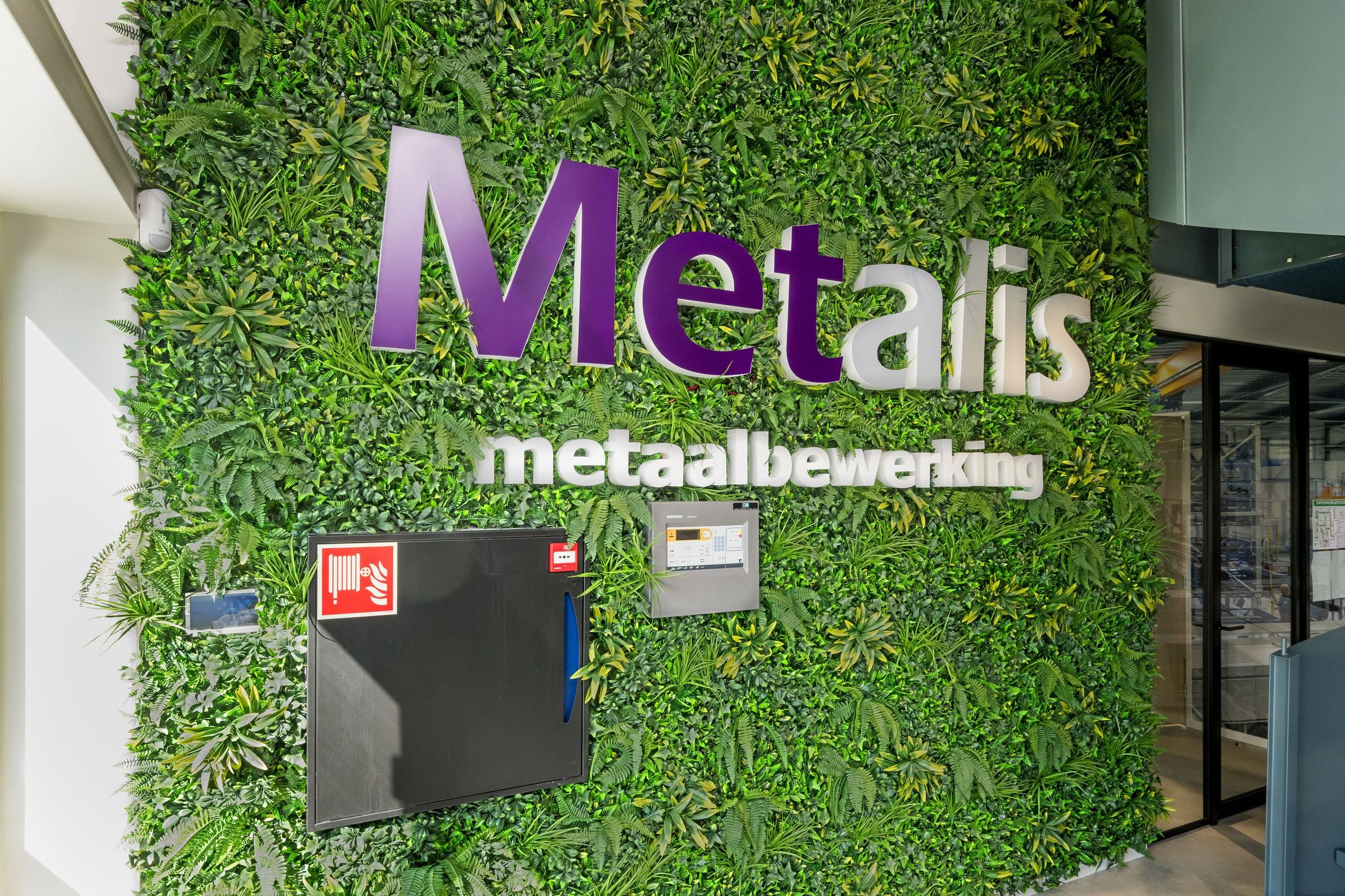 Metalis: grüne Wand
