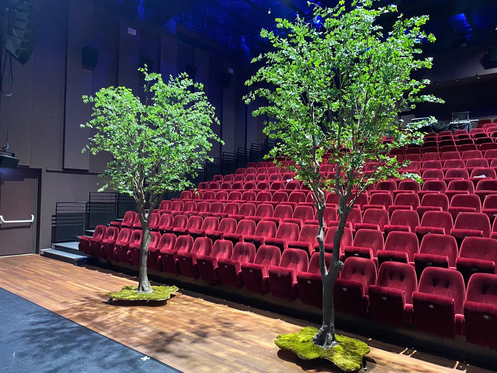 Theatersaal: Innenraumbegrünung