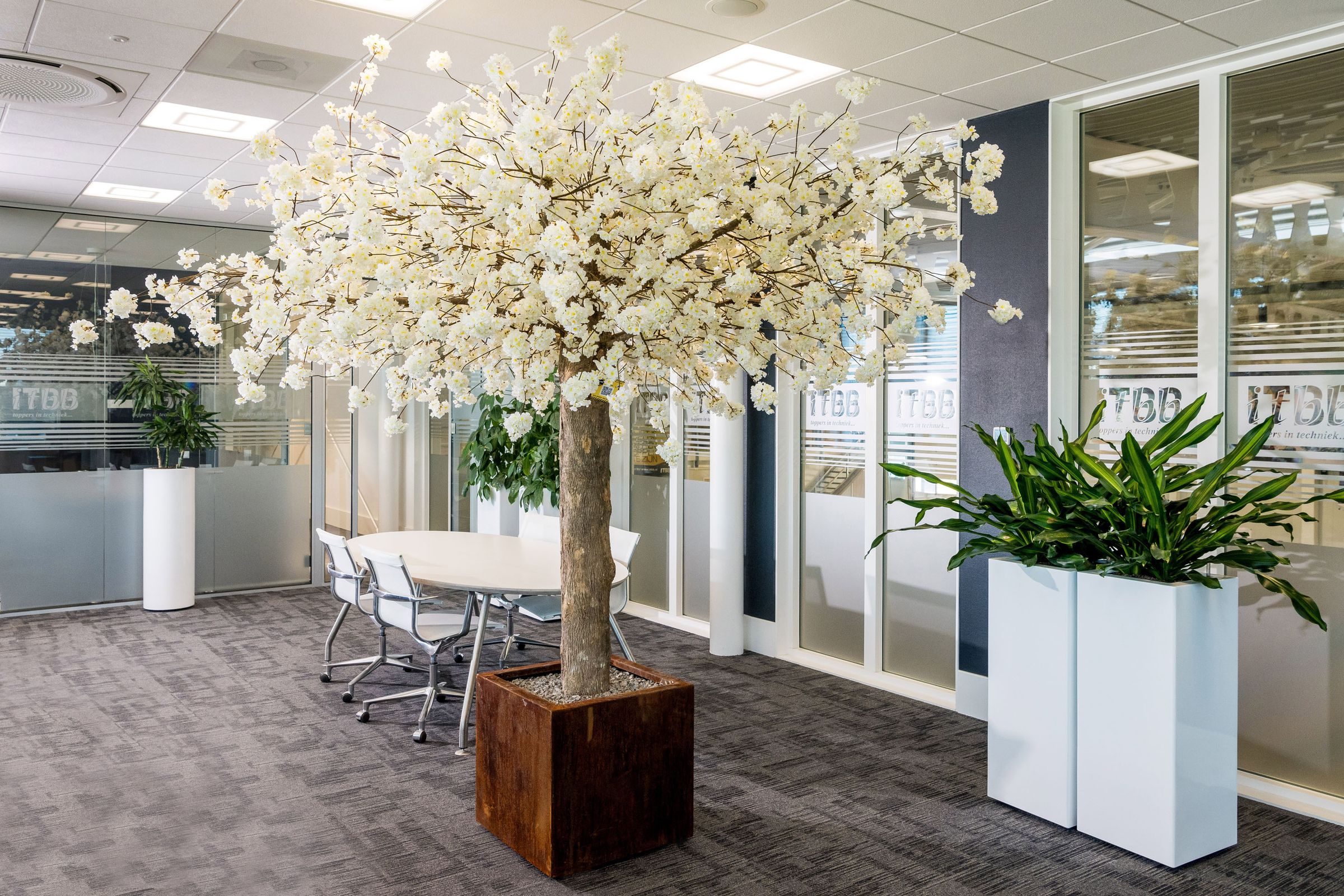 Weiße Blüten im Büro: Innenraumbegrünung