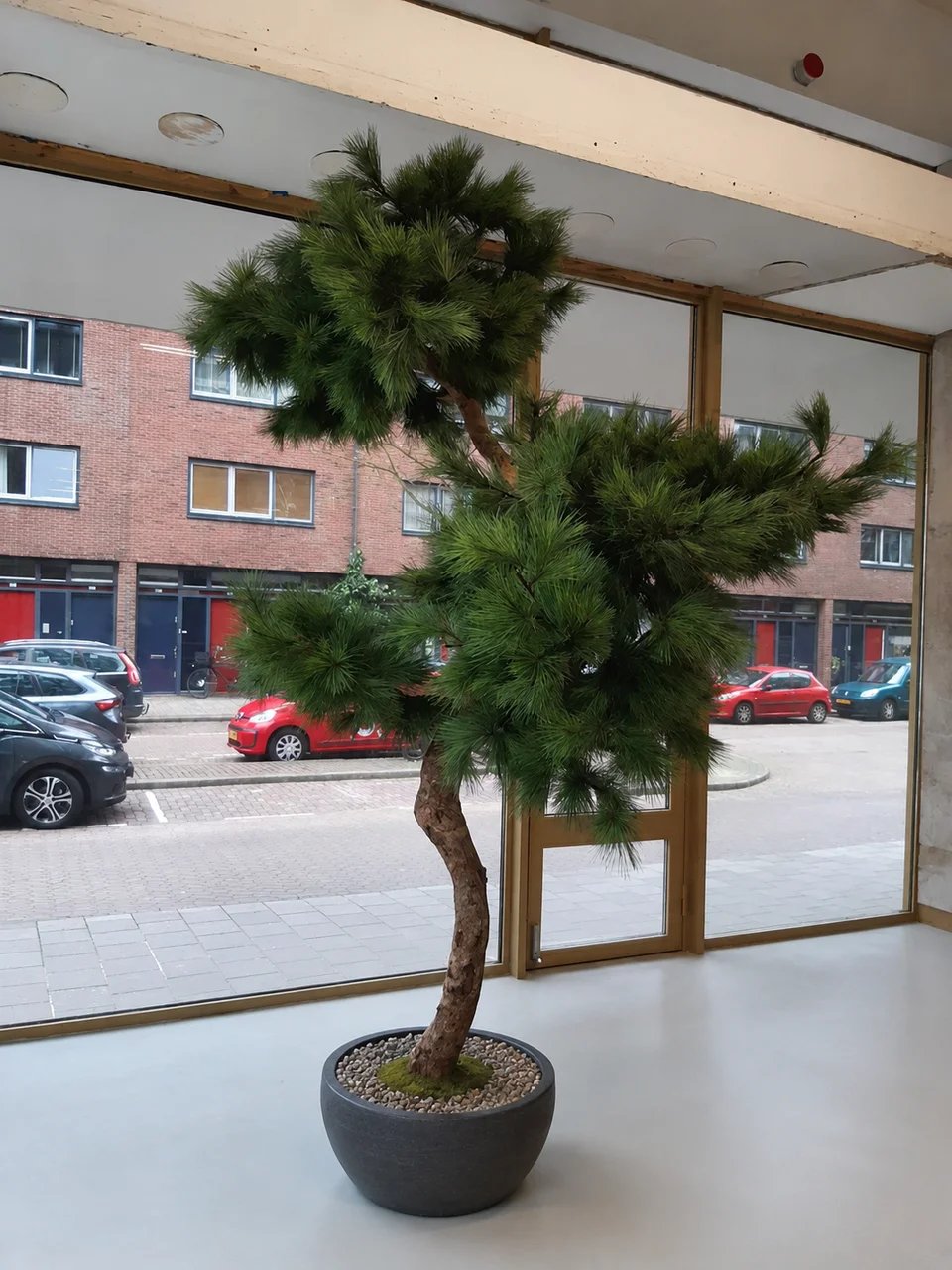 Kunstboom op maat van Coolplant