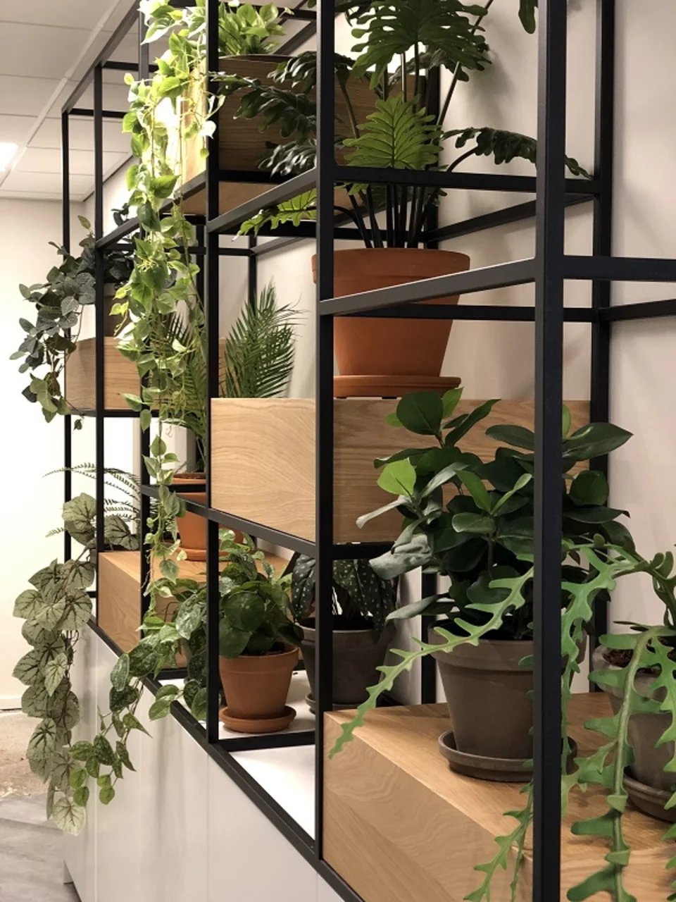Kunstplanten op kantoor van Coolplant