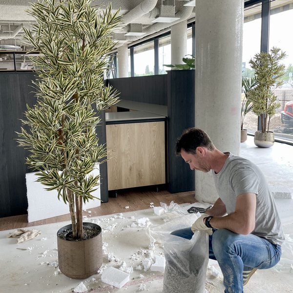 Het team van Coolplant aan het werk
