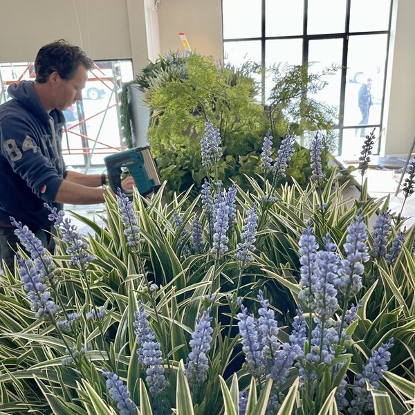 Het team van Coolplant aan het werk